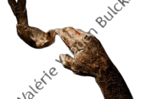 Mue-.-Detail-II-min-5-300×201-removebg-preview Mue-.-Detail-II-min-5-300x201-removebg-preview